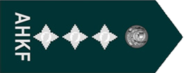 上尉 Captain