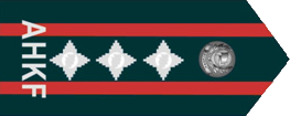 上將 General