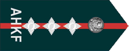 上校 Colonel