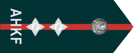 中校 Lieutenant Colonel